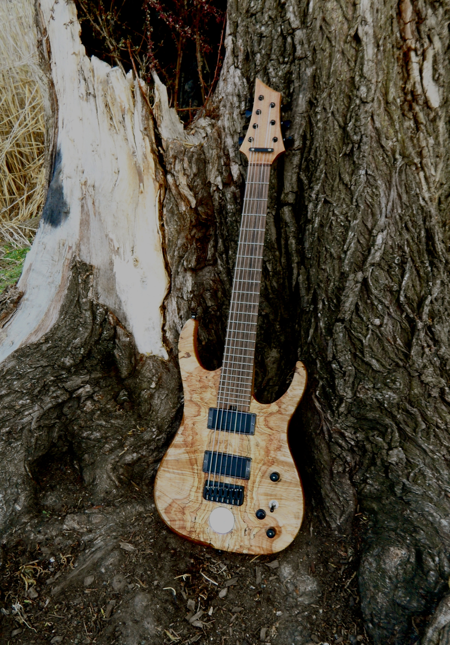 .........-guitars-h7-old-growth-spalted-maple-top-398218.jpg
