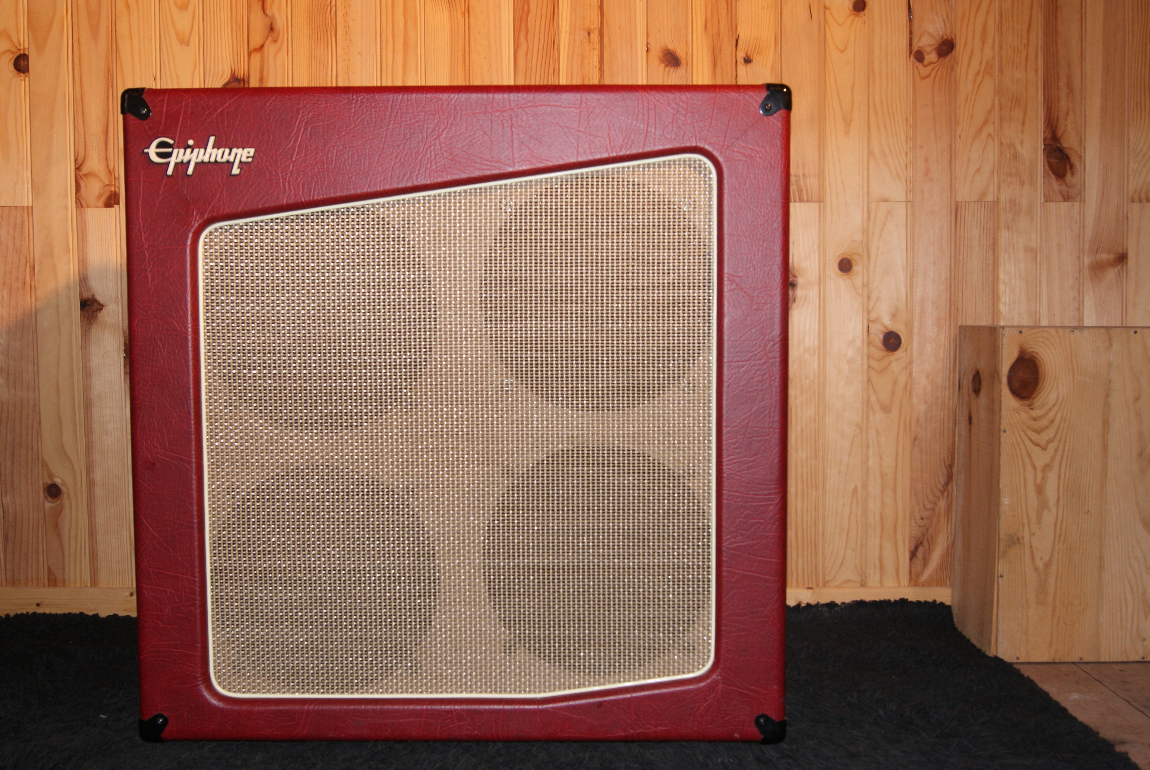 Epiphone Triggerman 100M Speaker image (315949) Audiofanzine