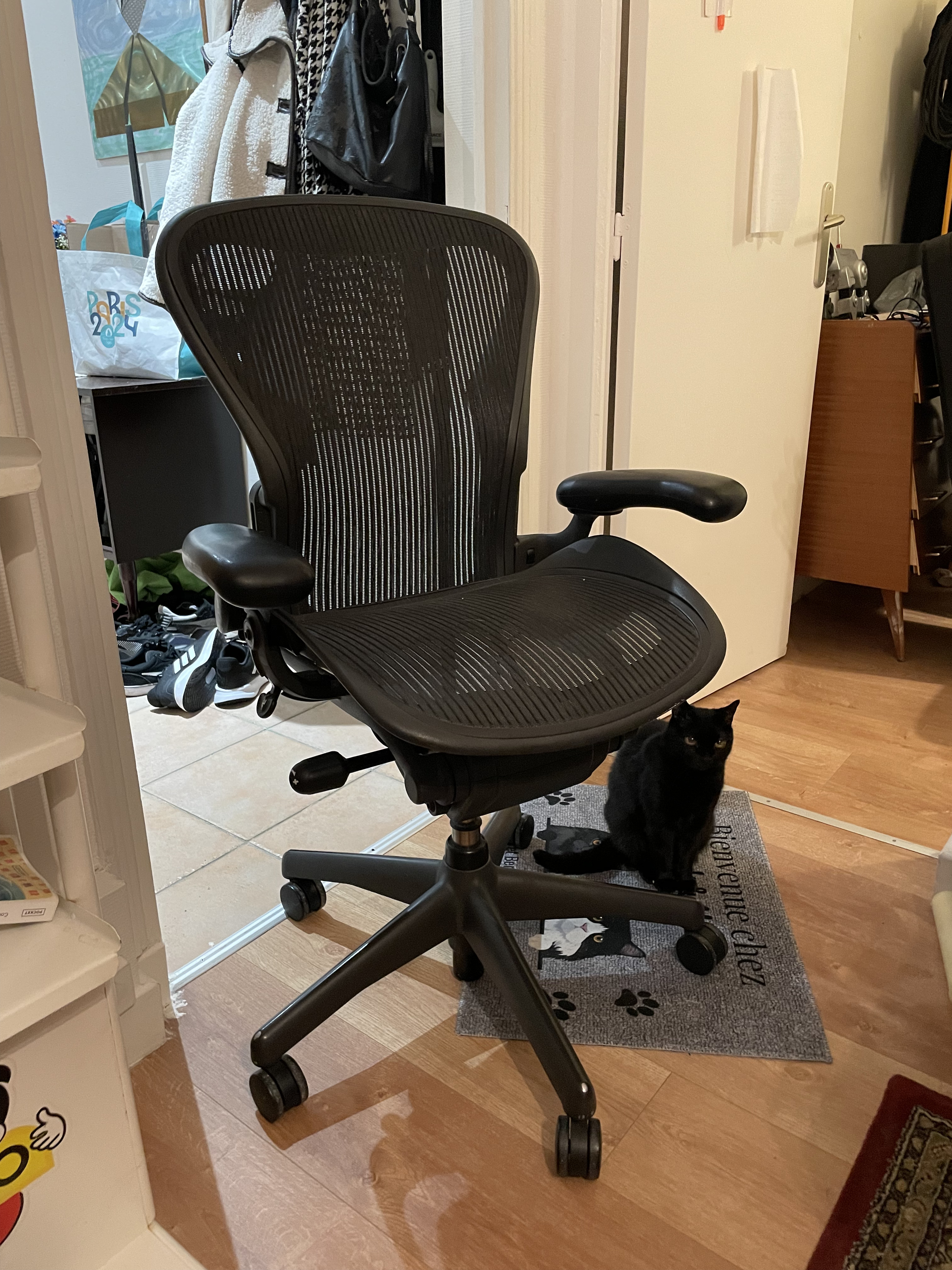 Herman Miller Aeron Classic Ile De France Audiofanzine