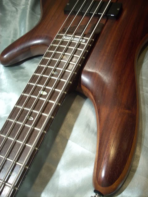 Ibanez 1305