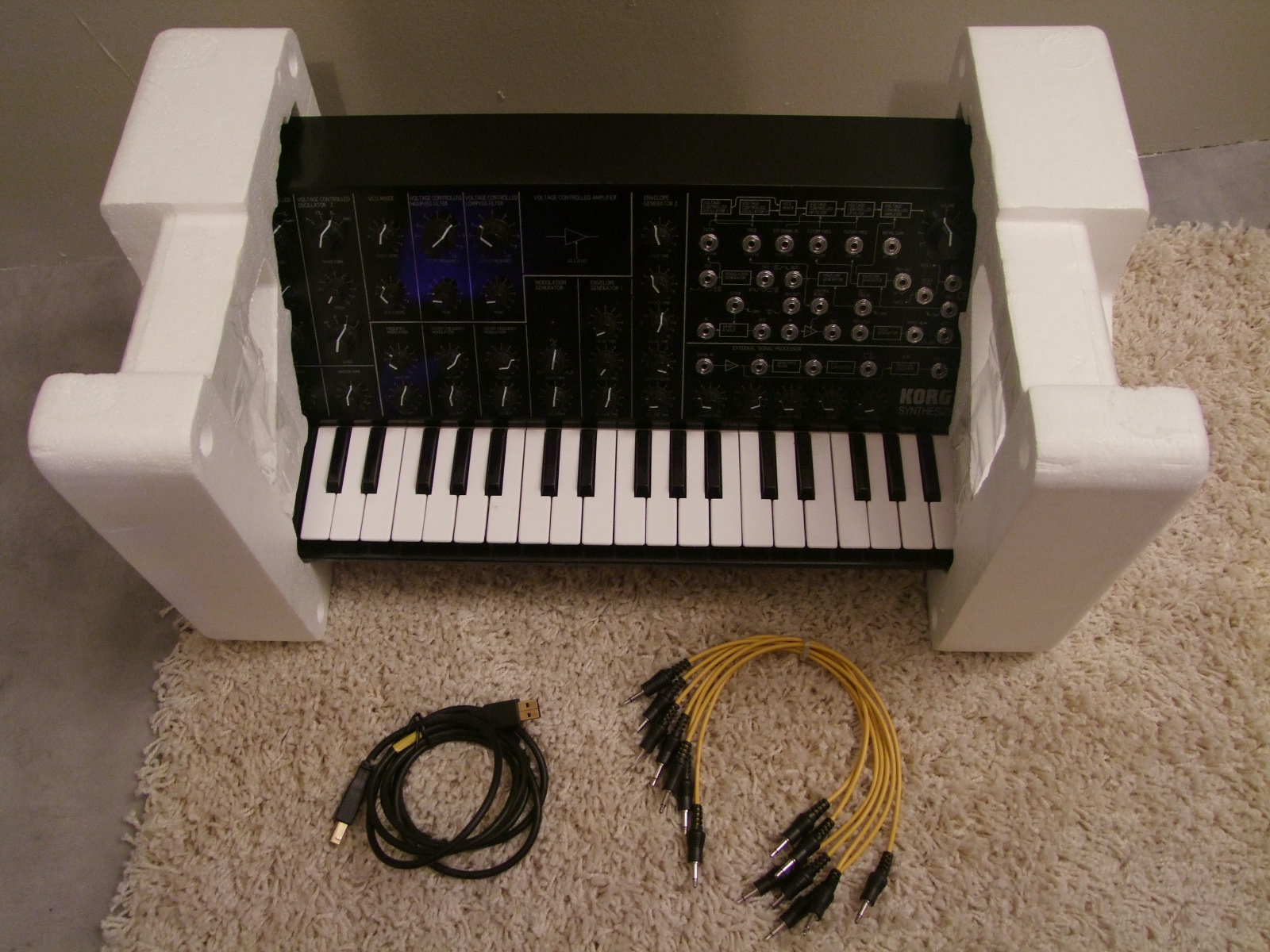 MS20iC image (252056) Audiofanzine