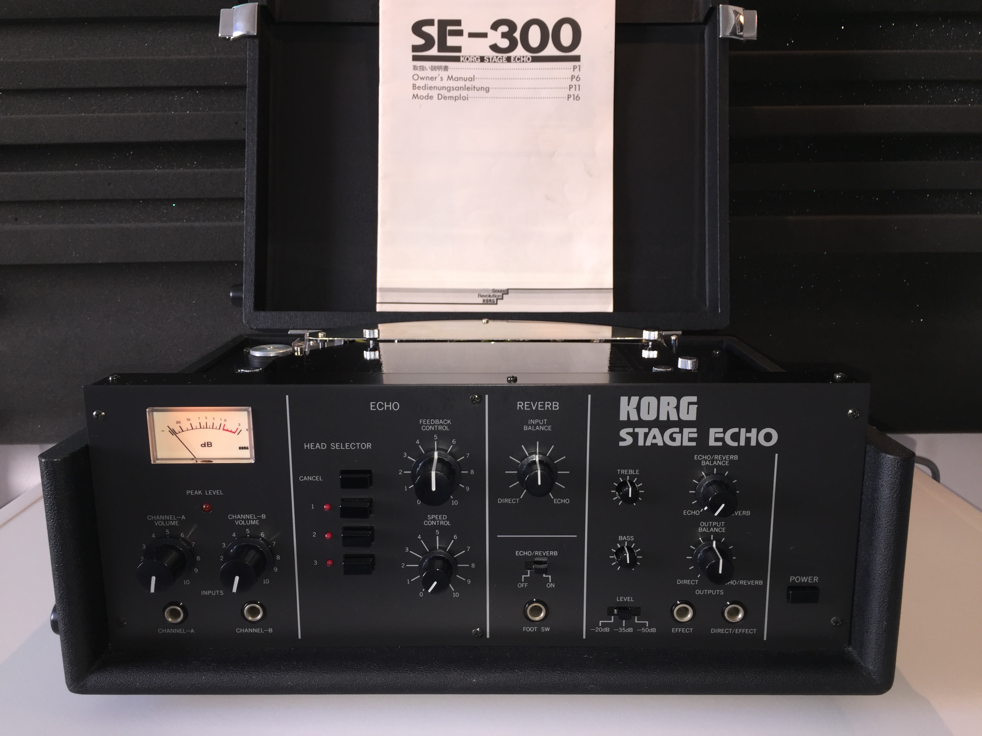 SE300 Stage Echo image (1753460) Audiofanzine