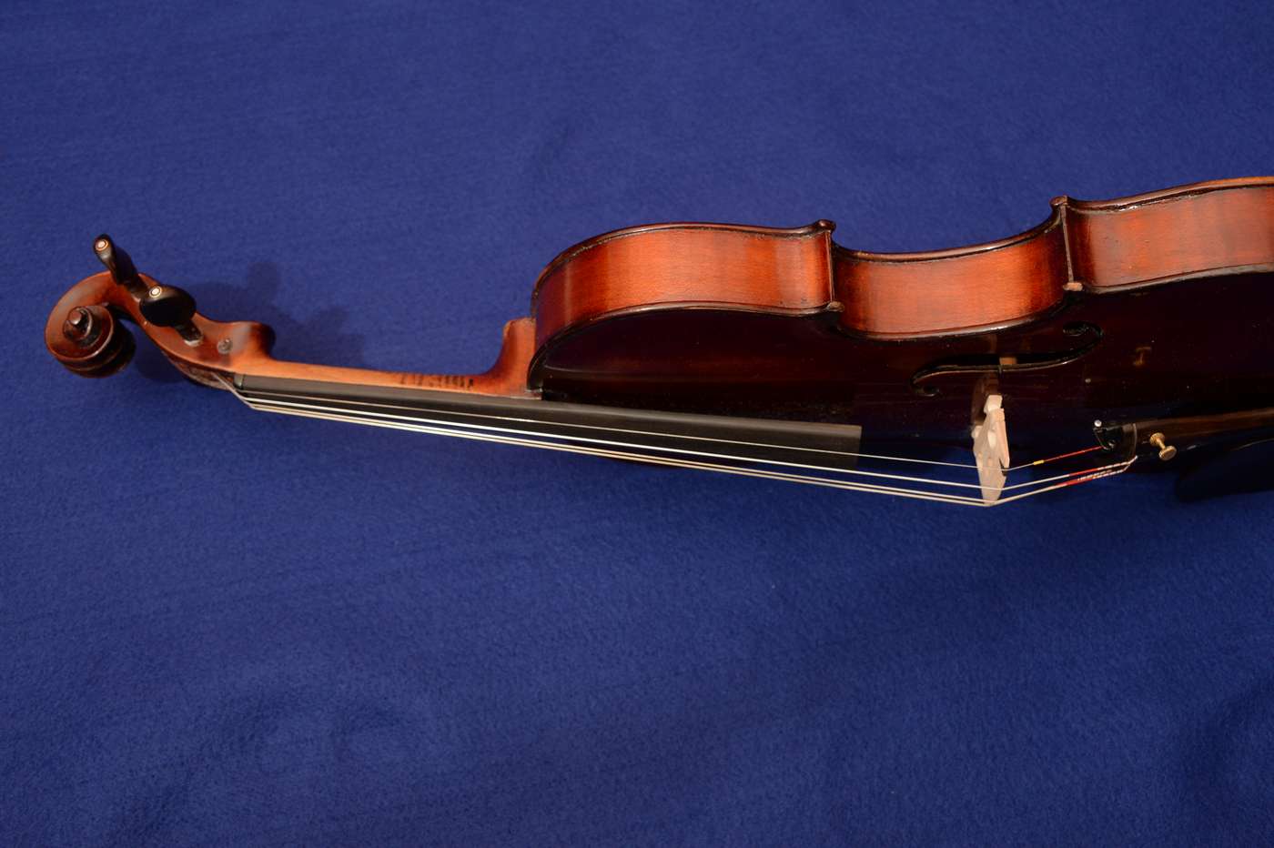 Luthier Violon 4/4 Reinhold Schnabl image (877344) Audiofanzine