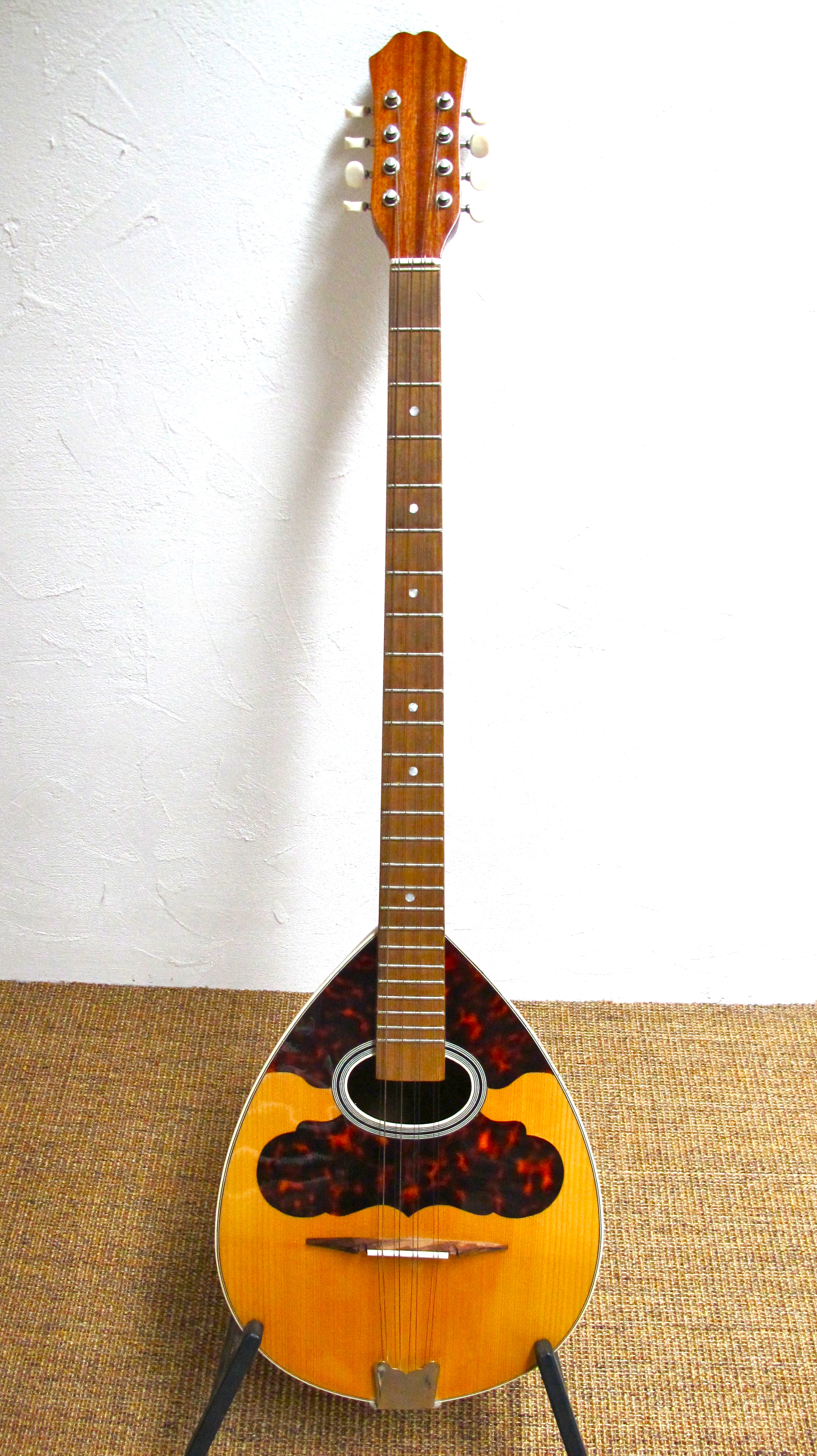 No Name Bouzouki image (272938) Audiofanzine