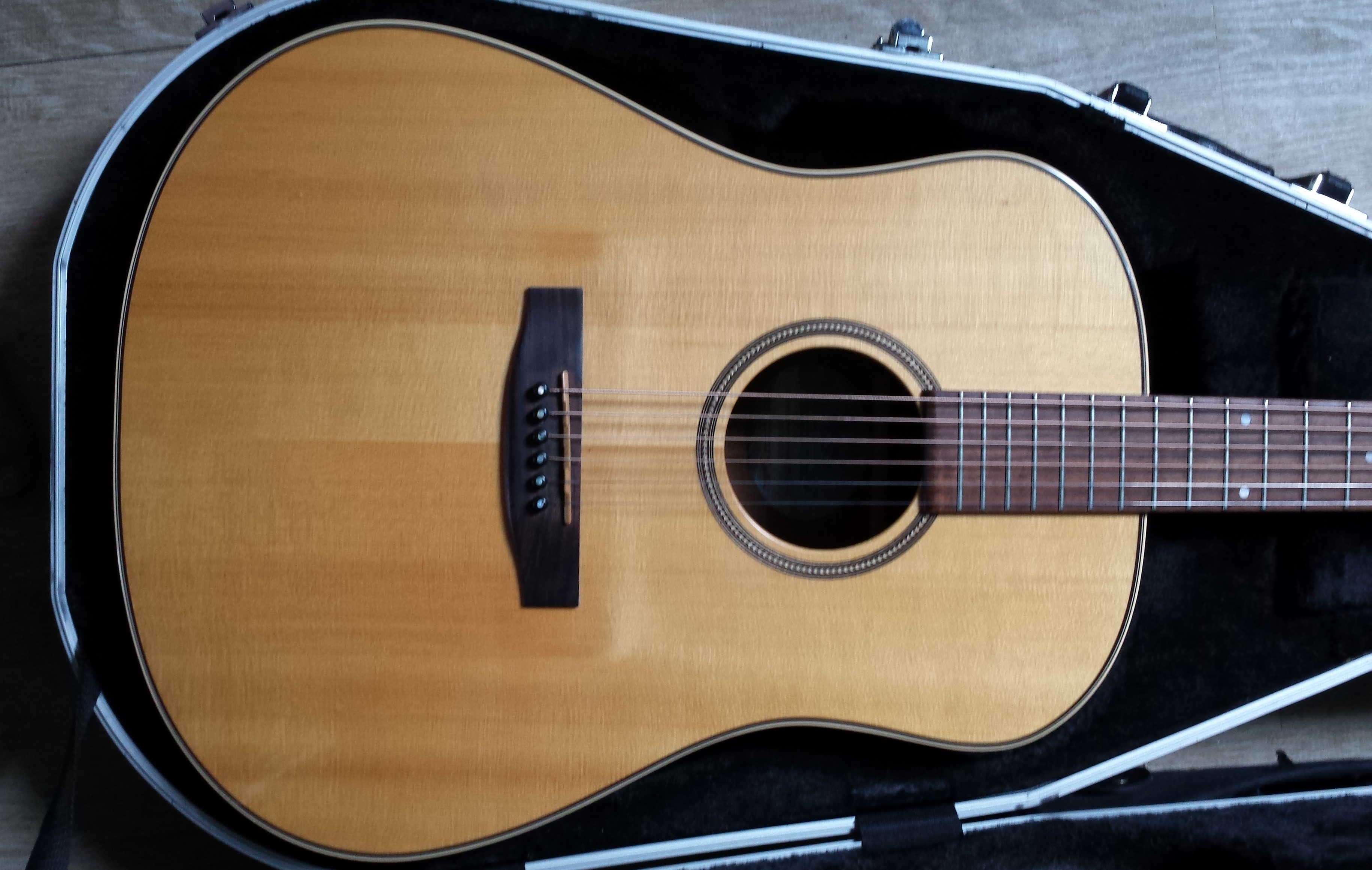 Seagull 25th Anniversary Mahogany Spruce HG image (914652) Audiofanzine