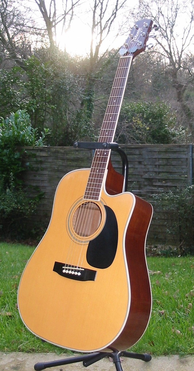 takamine-eg332c-457984.jpg