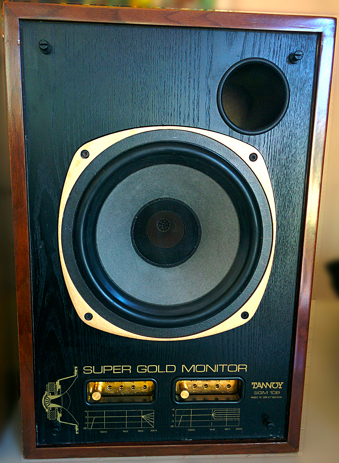 Tannoy SGM10B image (1541267) Audiofanzine