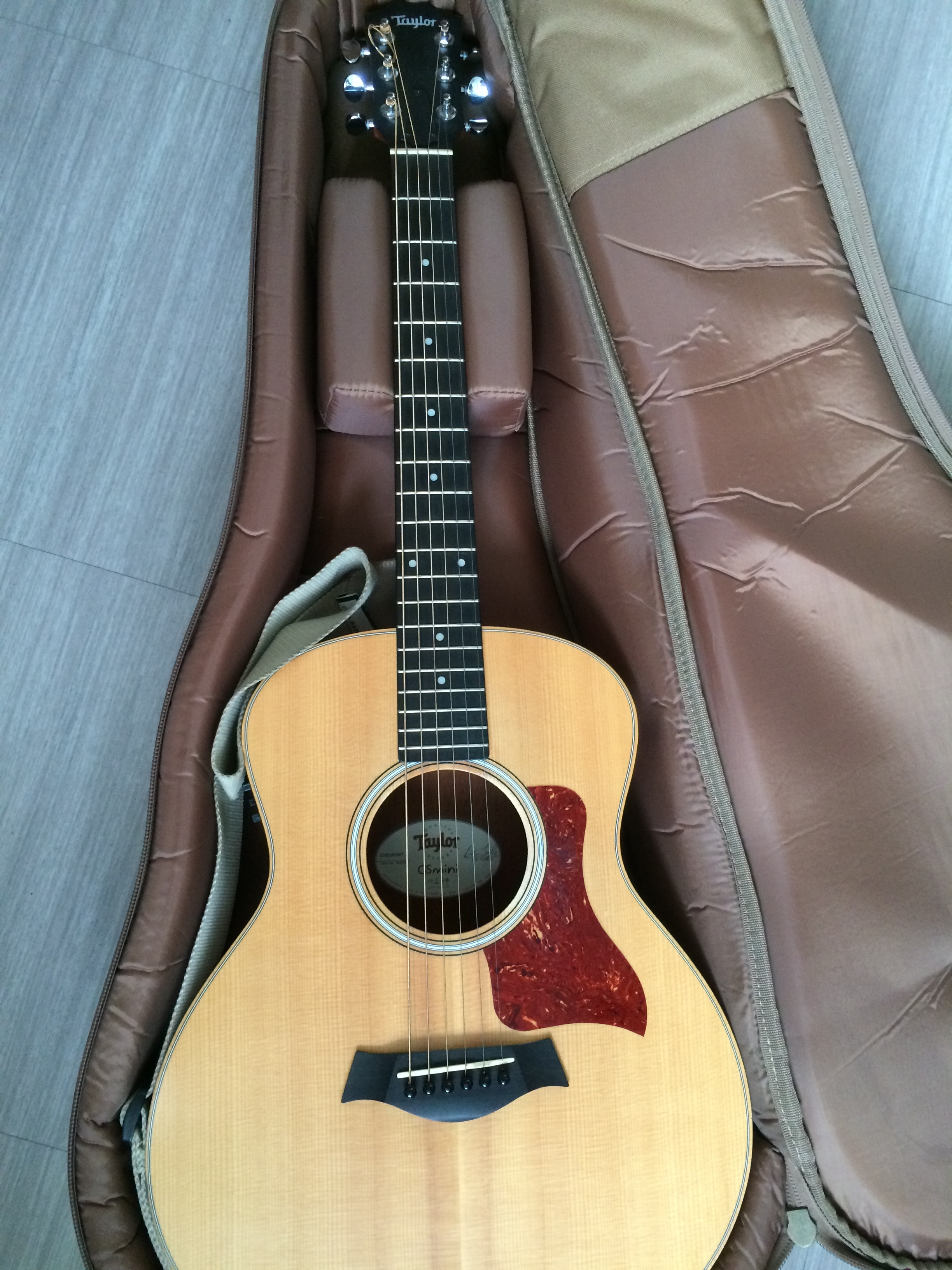 GS MINI Taylor GS Mini Audiofanzine