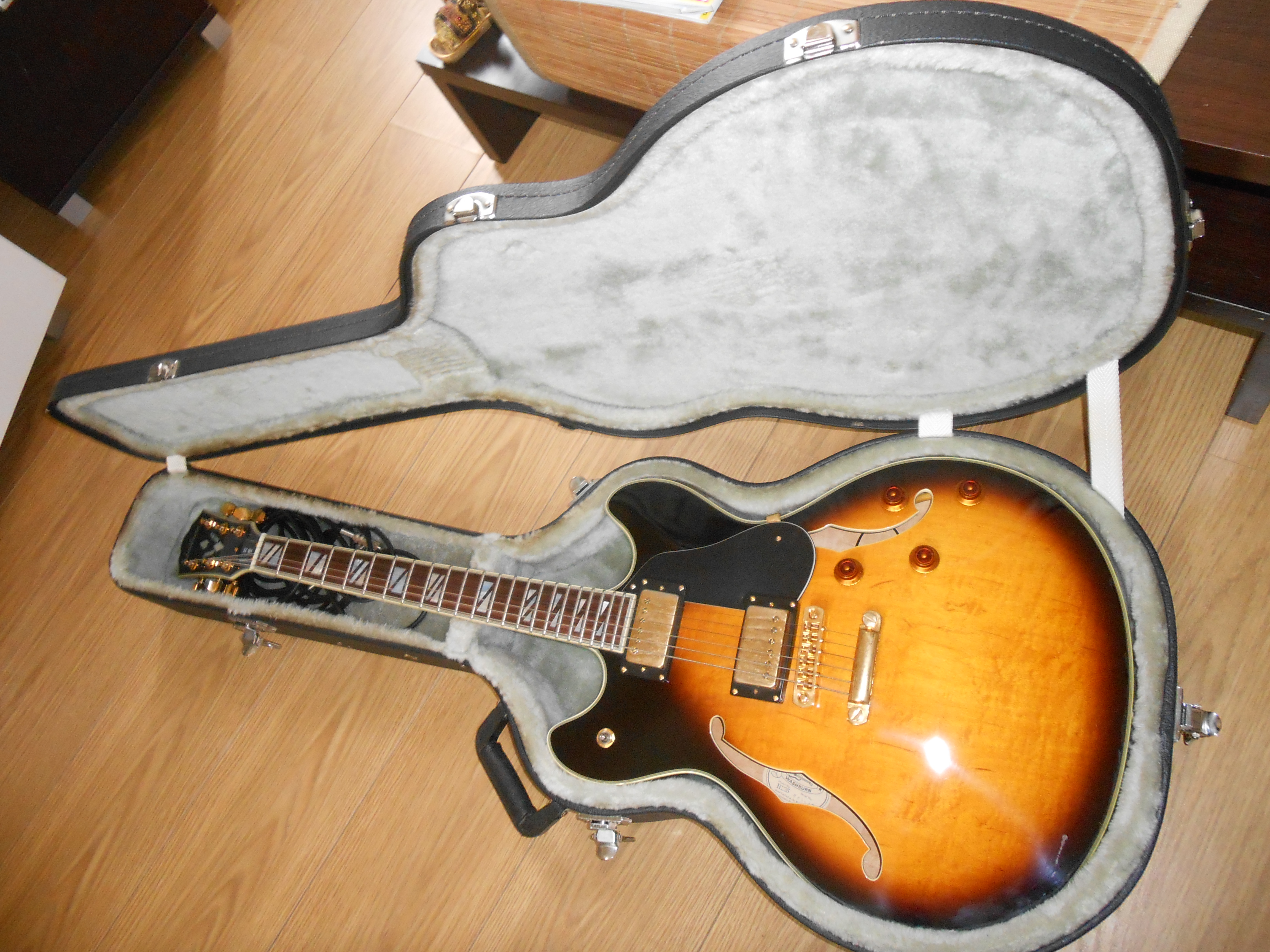 Washburn HB35 image (529006) Audiofanzine