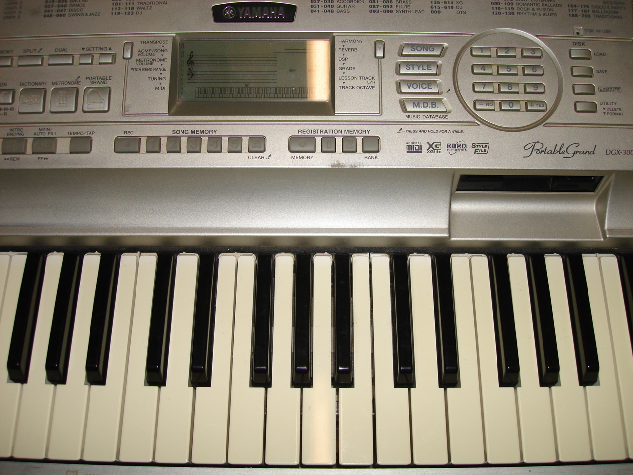Yamaha DGX 300 Image 169279 Audiofanzine