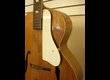 Epiphone Blackstone