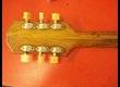 Epiphone Blackstone