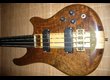 Alembic Essence Fretless
