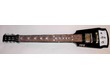 vds Lap Steel upgradé