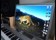 Apple Cinema Display 30"