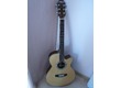 aria folk electro acoustique