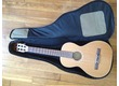 Vends Guitare classique Art & Lutherie AMI NYLON
