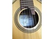 Vend Guitare portugaise Artis modèle f2 + housse et accessoires