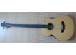 vends basse élecro acoustique fretless Bee & Billy
