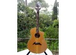 BREEDLOVE C25 CR PRO SERIES