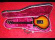 VENDS Burns Brian May Sunburst B-Stock plus case NEUVE
