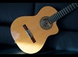 Candela Flamenco Cut away