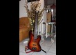 basse 5 cordes 