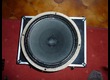 Greenback 8 ohms