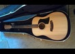 COLE CLARK Fat Lady FL-1 A BM