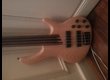 cort B4FL fretless