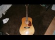 Cort Earth 70-12 d'occasion