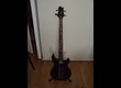 vends Basse Cort EVL-Z4B - Black Satin