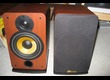 vends enceintes Davis modèle EVA 110 watts