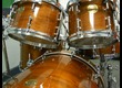 DDRUM Dios Exotic Shell, tube lugs, housses, neuve !