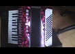 Vends Accordéon DELICIA Junior 23 , touches piano