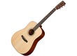 Eastman E10D