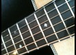 Eastman - Handcrafted Guitars e8d