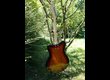 GUITARE EASTWOOD SATURN 63 "SUNBURST"