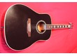 Guitare Electro acoustique Eko Ranger 6 Vintage noire