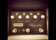 Empress Effects Superdelay Vintage Modified