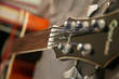 Epiphone El Capitan V Fretless - Vintage Sunburst