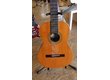 GUITARE ESTEVE 1GR01