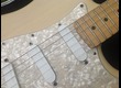 Fender stratocaster american Relic micros lace sensor 2002