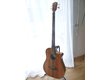 Fender Artist Signature - Victor Bailey - Nt Dao