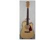Fender DG-22CE - Natural