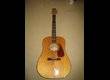 Fender DG-22S - Natural