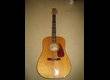 Fender DG-22S - Natural