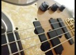 Vends Basse Fender - Stuart Hamm Urge Bass I