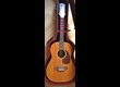 Gibson B2512N