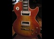 GIBSON burstbucker pro zébra 